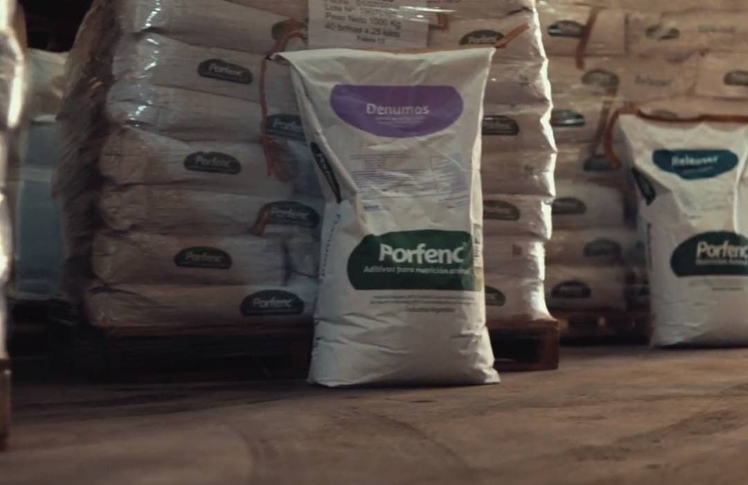 Porfenc