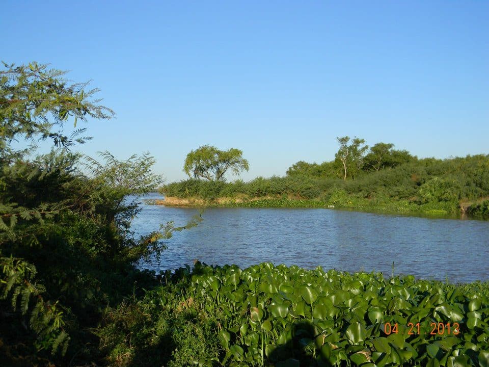 Pesca deportiva en el Paraná