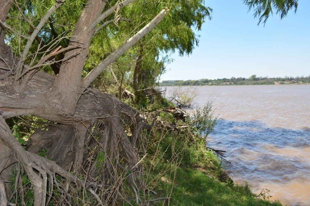 Pesca deportiva en el Paraná