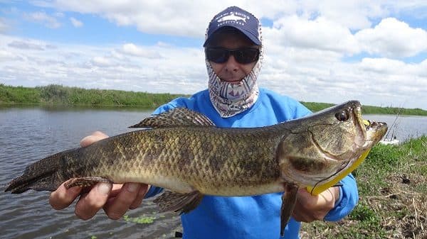 Pesca Ramallo - Javier Velázquez