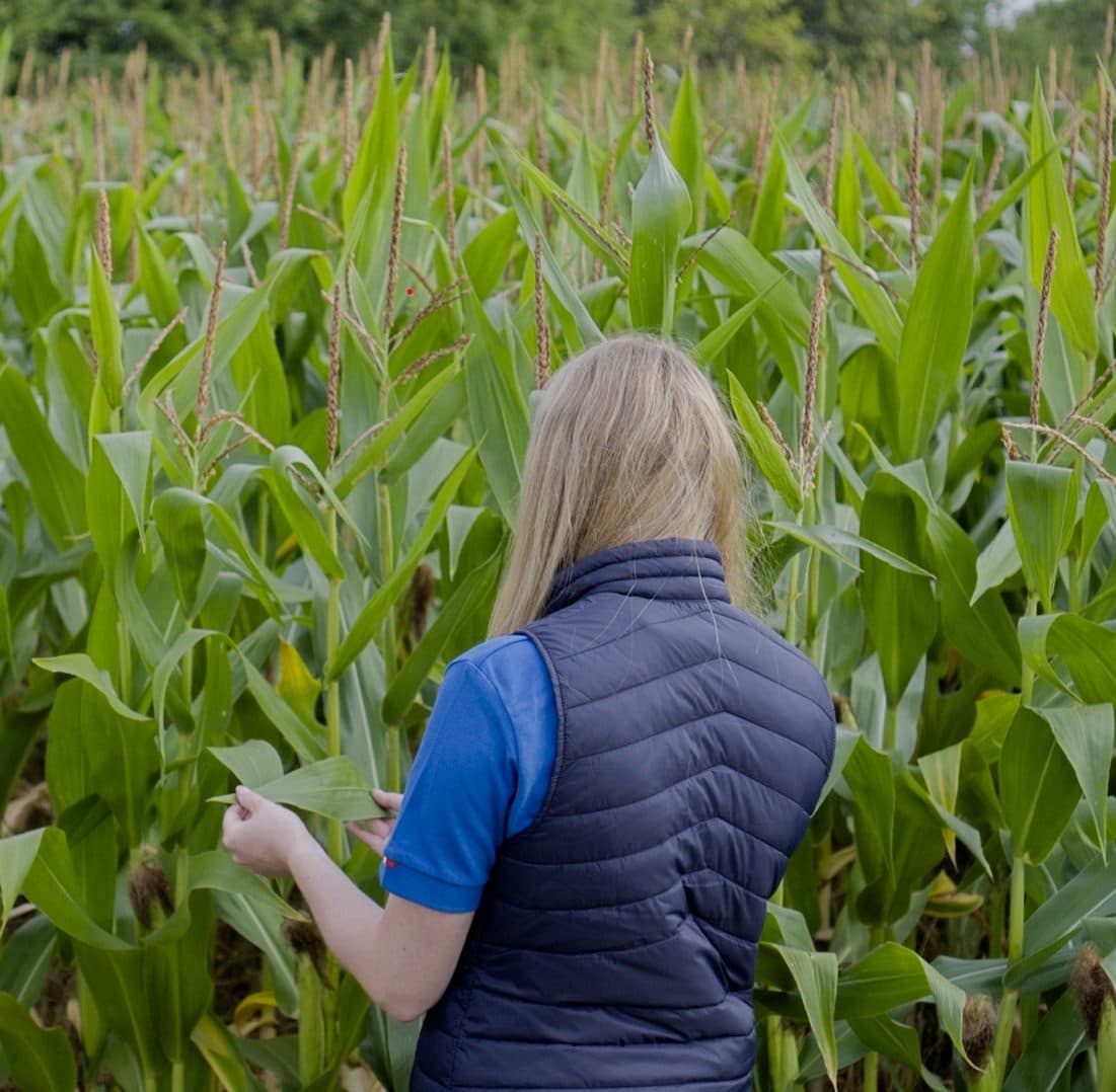 Timac Agro Argentina