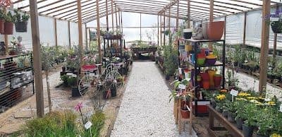 Vivero JardindelSol